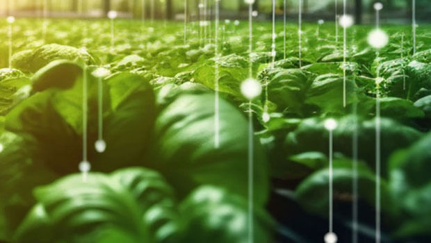 LED Bars & LED Strips