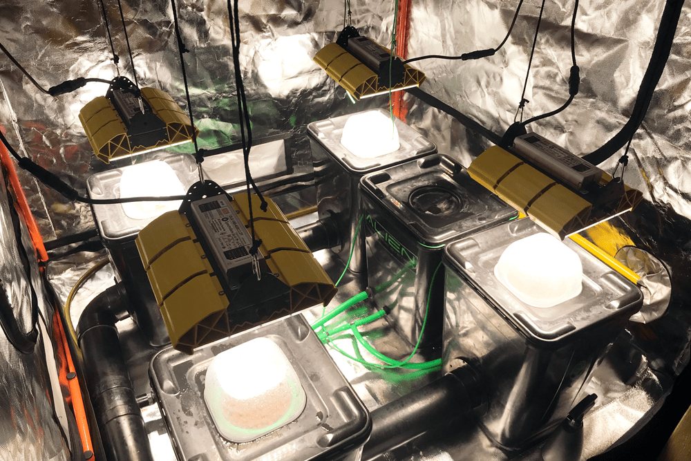 4 Spectrabox LED kweeklampen in een Kweektent die elk een Alien Hydroponic pot belichten