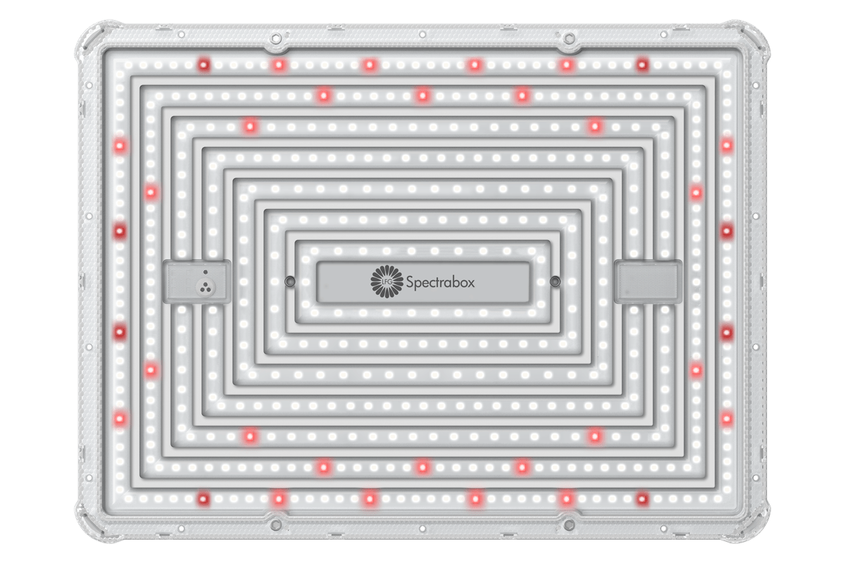 Spectrabox LED Lens afdekkap