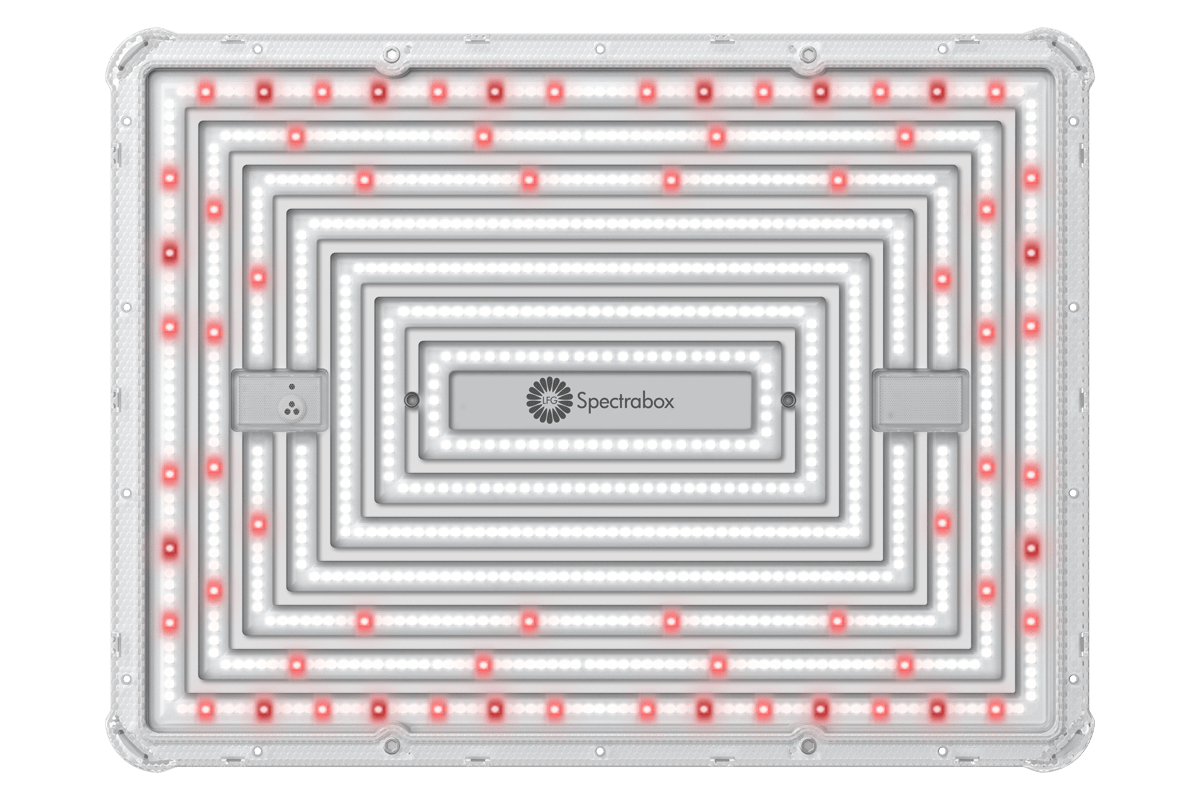 Kunststof cover met LEDs van Spectrabox