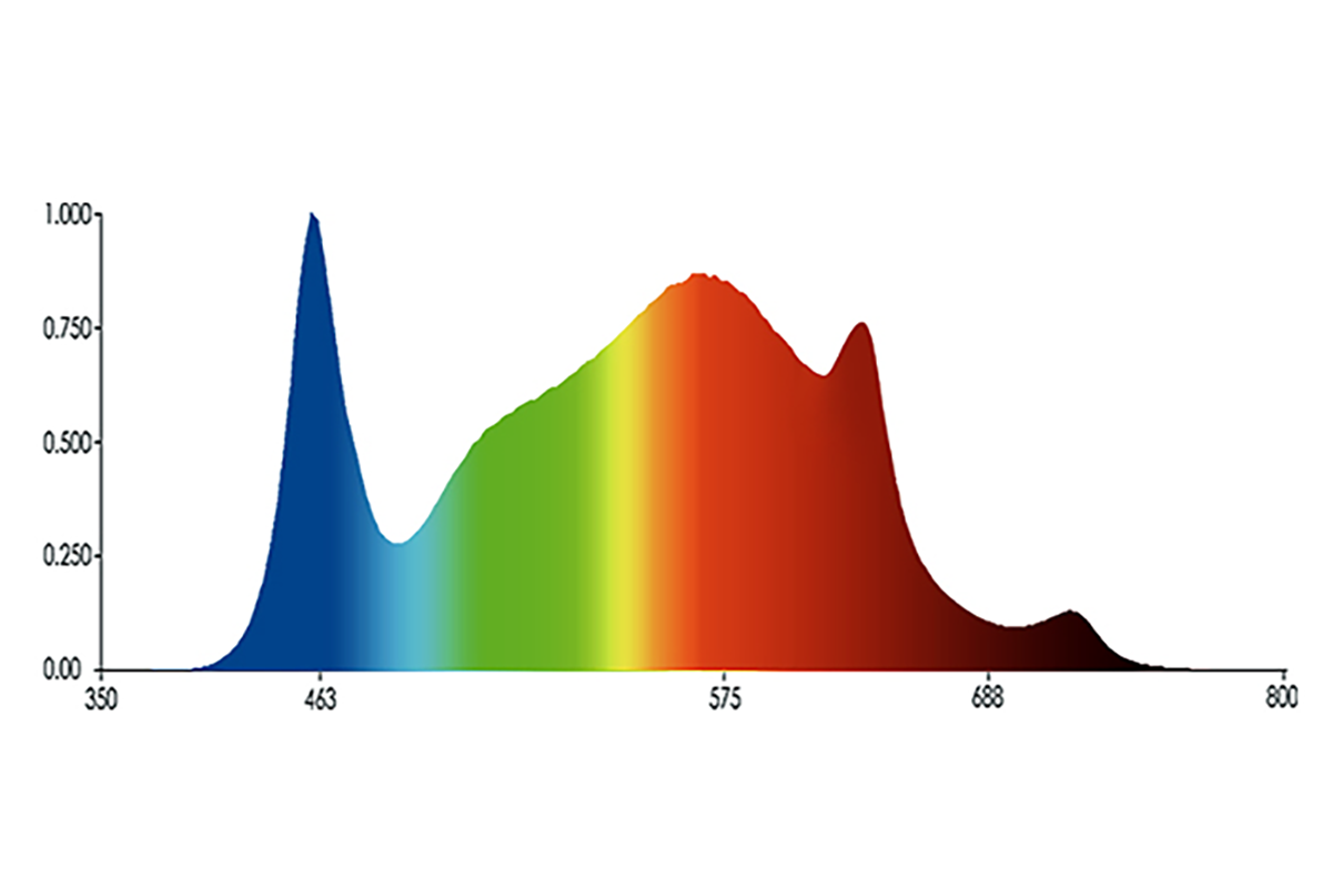 Grafiek lichtspectrum blauw tot rood van Quantum Board