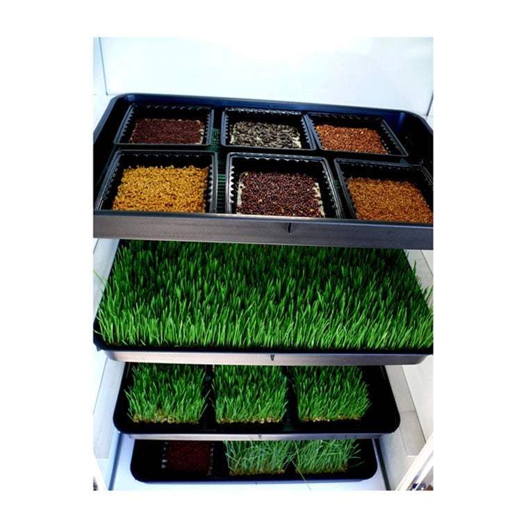Sprouter Growbox
