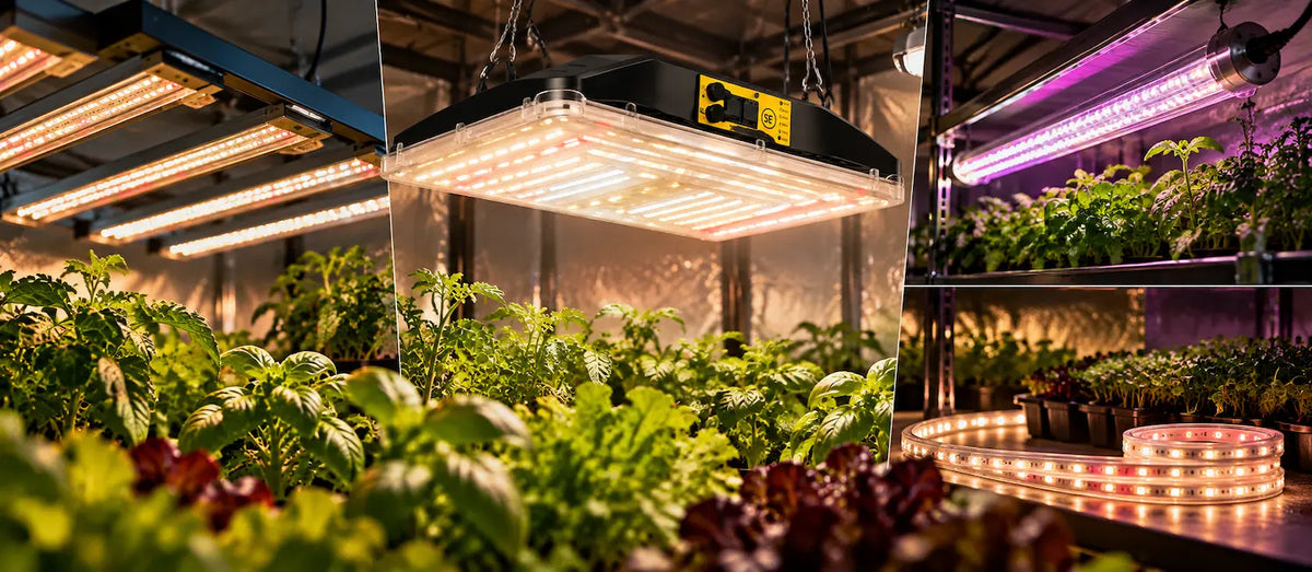 Verschillende soorten LED kweekverlichting voor planten.