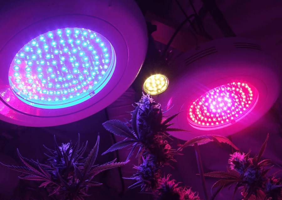 Test met 2 UFO kweeklampen en een LED spot