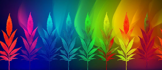 wietbladen in de kleuren rood, blauw, groen en geel