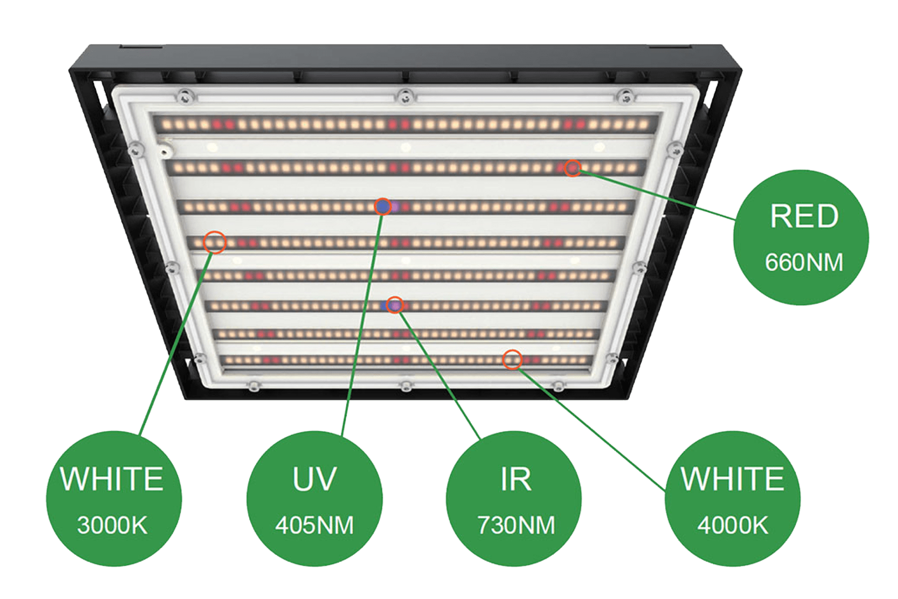 Onderzijde 420 System LED kweeklamp met rijen LEDs in meerdere kleuren en aanduiding van de LED golflengtes in groene cirkels