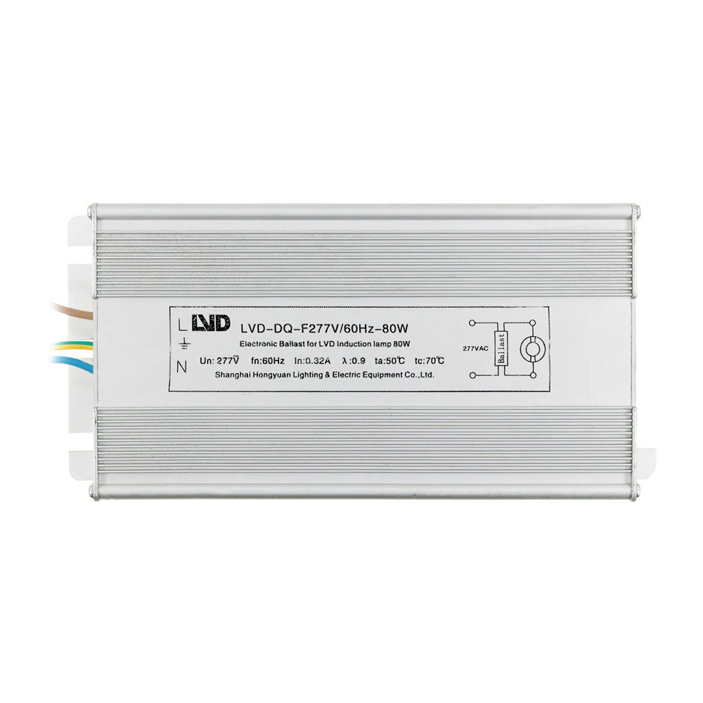 Electronic Ballast for LVD Induction lamp 80W