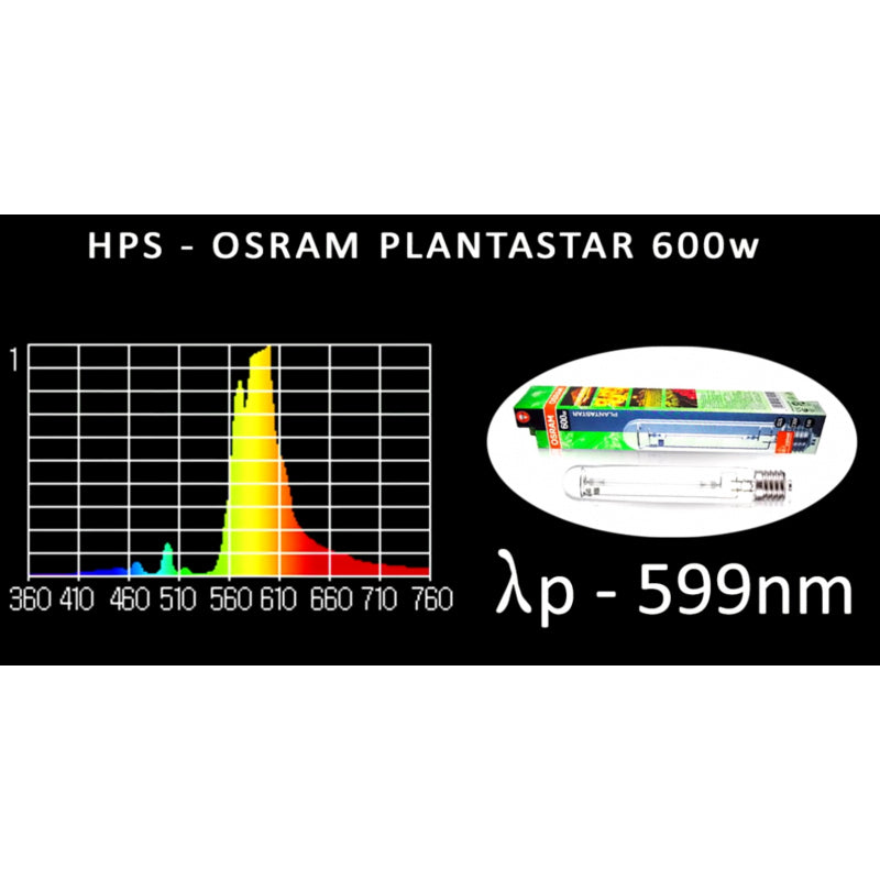 400W OSRAM Pantastar