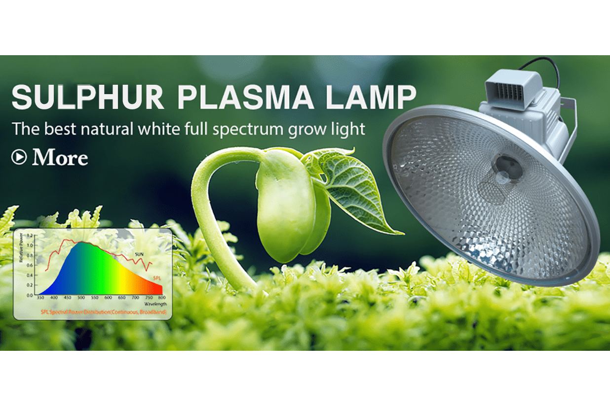 1000W plasma lamp lichtspectrum