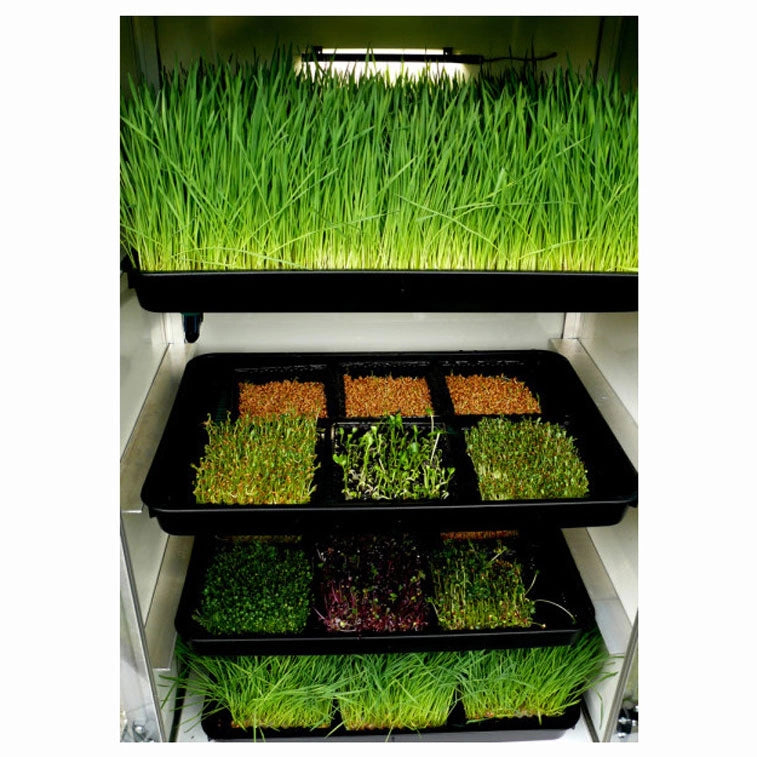 Sprouter Grow Box