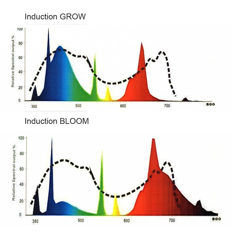 250W Inductie Bloom