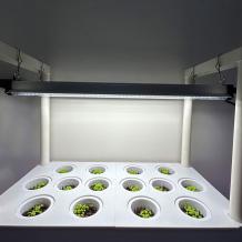 45W LED Bar Grow